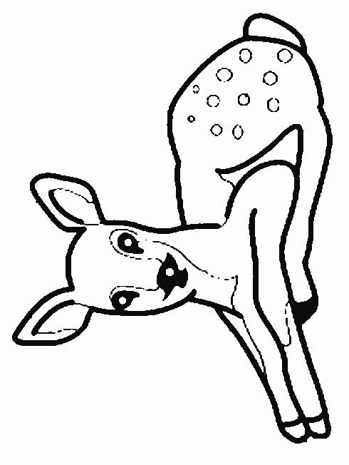 Fisă de colorat cu Animale caprioare de colorat p01