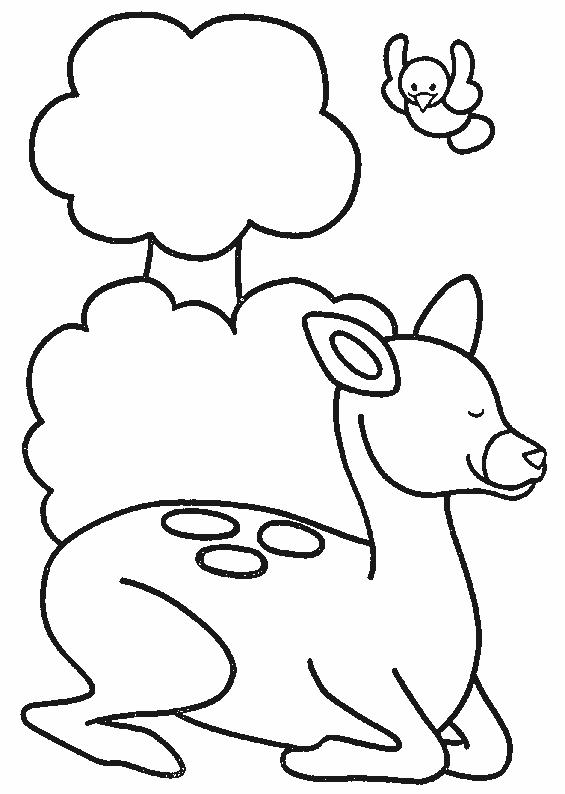 Fisă de colorat cu Animale caprioare de colorat p10