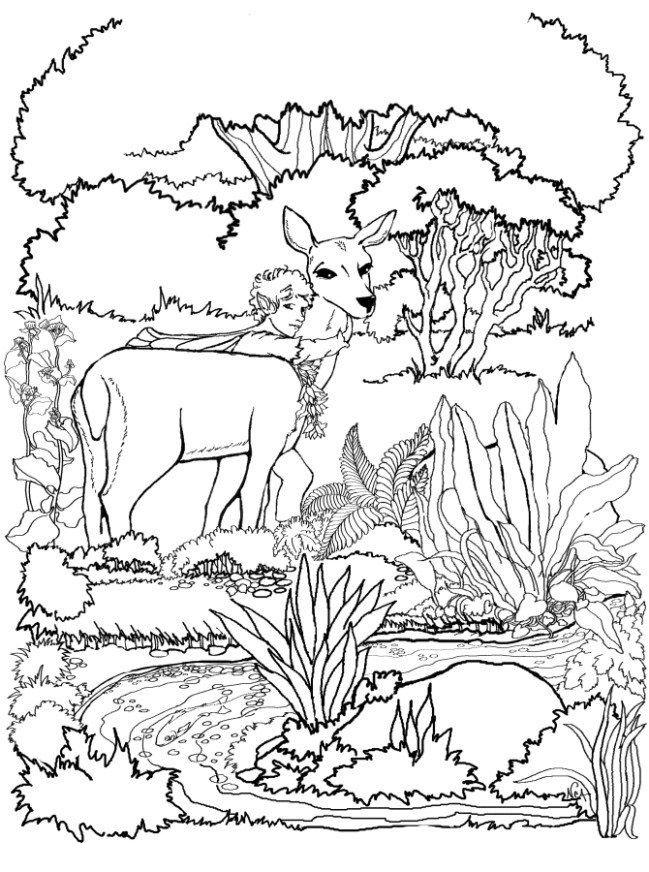 Fisă de colorat cu Animale caprioare de colorat p14