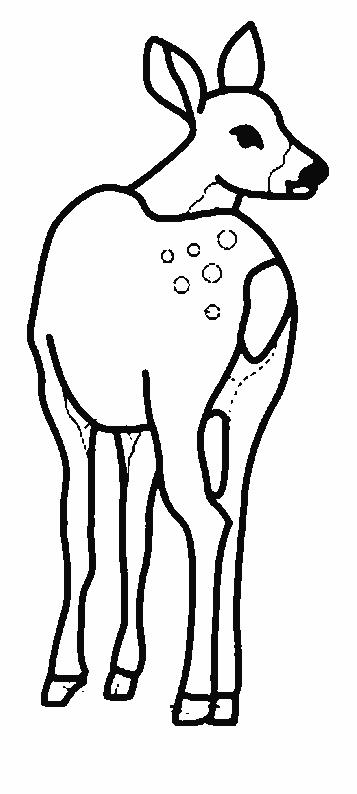 Fisă de colorat cu Animale caprioare de colorat p16