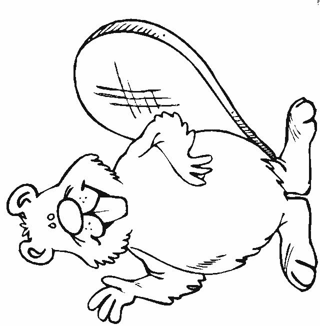 Fisă de colorat cu Animale castori de colorat p02