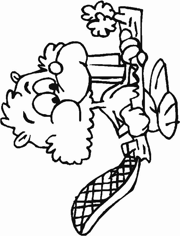 Fisă de colorat cu Animale castori de colorat p03