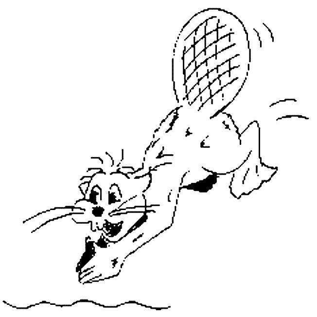 Fisă de colorat cu Animale castori de colorat p16