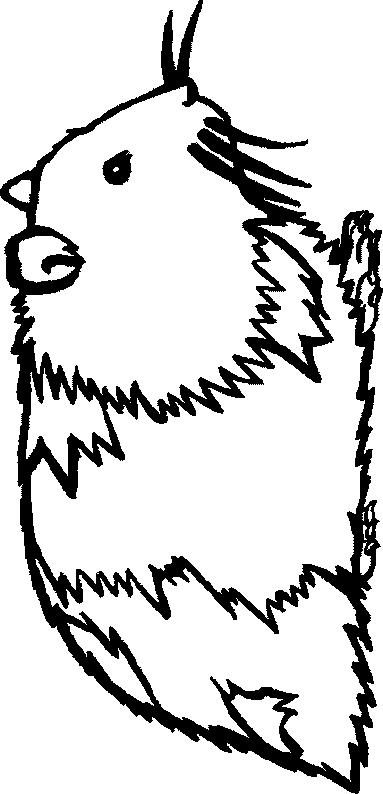 Fisă de colorat cu Animale cobai de colorat p02