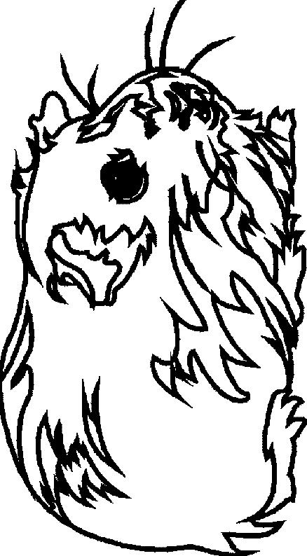 Fisă de colorat cu Animale cobai de colorat p03