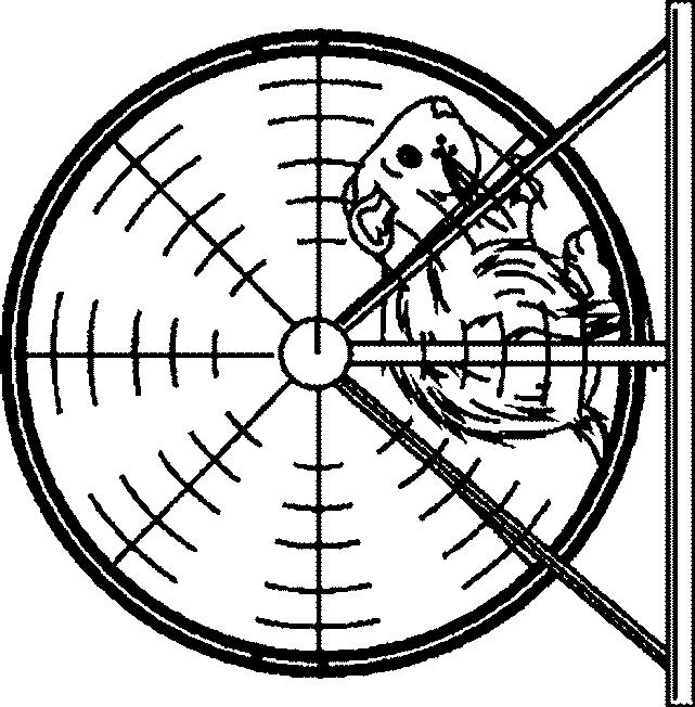 Fisă de colorat cu Animale cobai de colorat p07