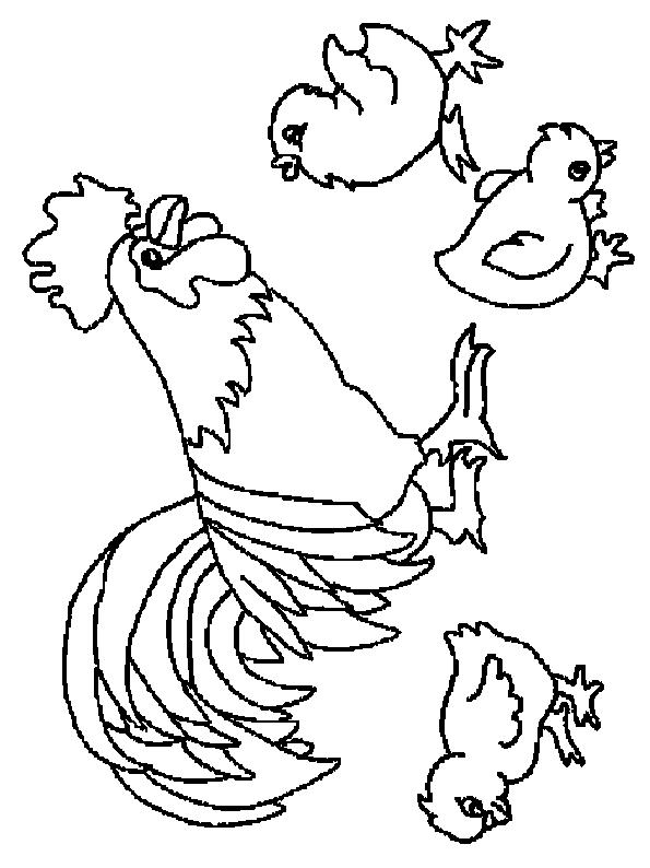 Fisă de colorat cu Animale cocosi de colorat p18
