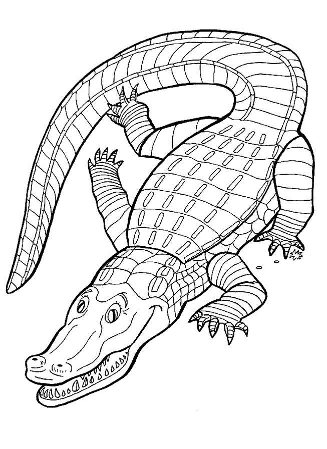 Fisă de colorat cu Animale crocodili de colorat p09