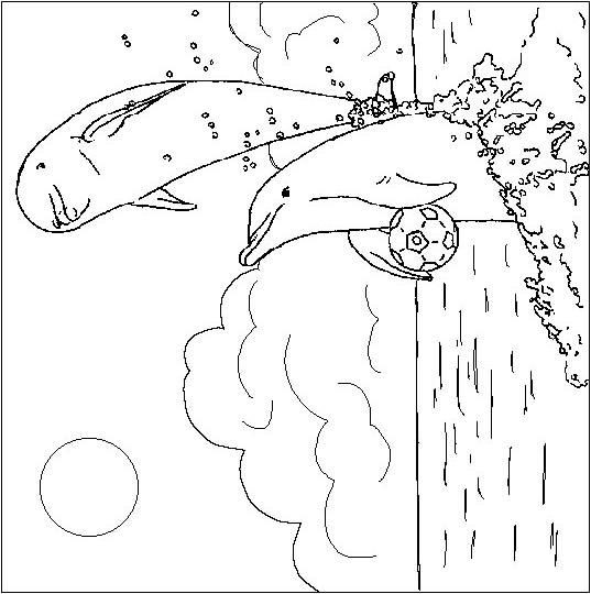 Fisă de colorat cu Animale delfini de colorat p10