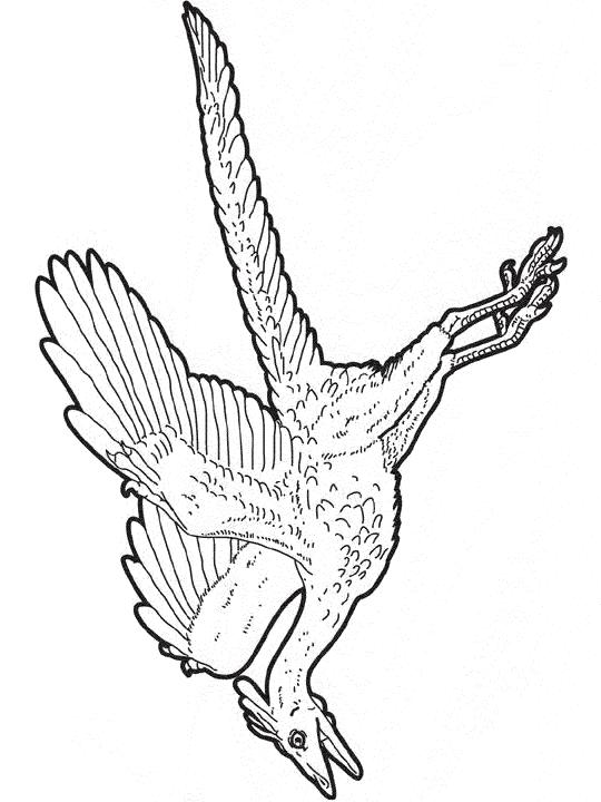 Fisă de colorat cu Animale dinozauri de colorat p03