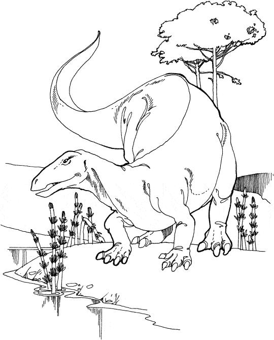 Fisă de colorat cu Animale dinozauri de colorat p11