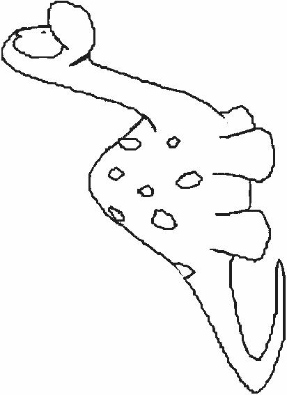 Fisă de colorat cu Animale dinozauri de colorat p39