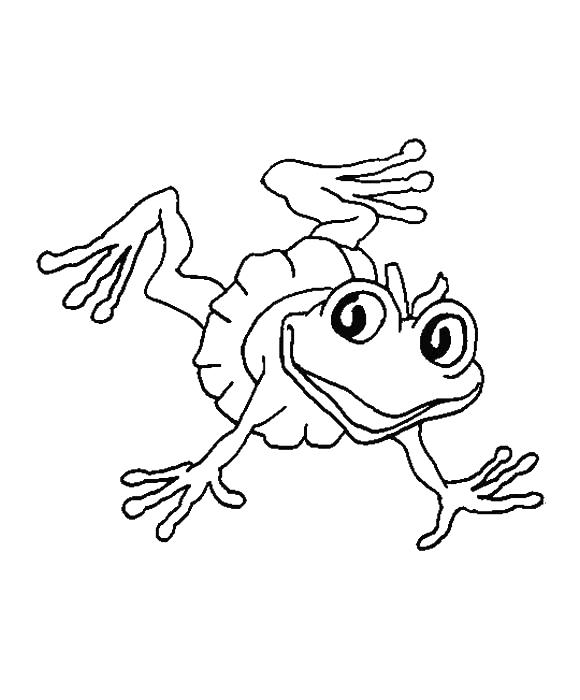 Fisă de colorat cu Animale haioase de colorat p14