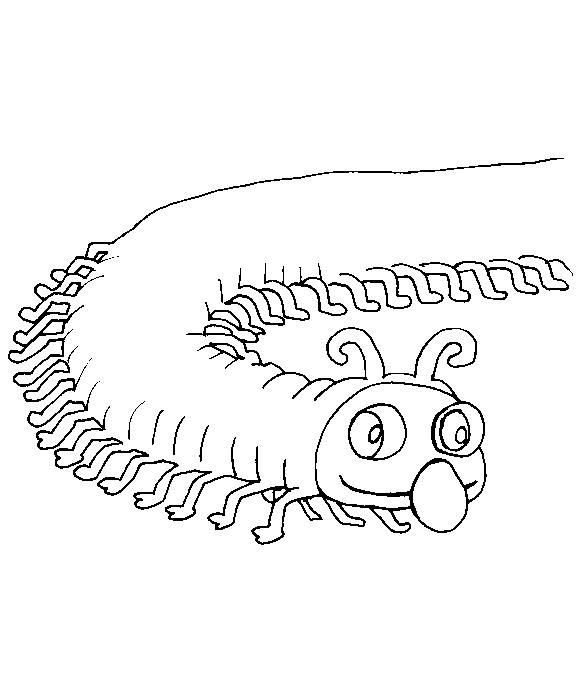 Fisă de colorat cu Animale haioase de colorat p26