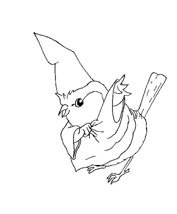 Fisă de colorat cu Animale haioase de colorat p28