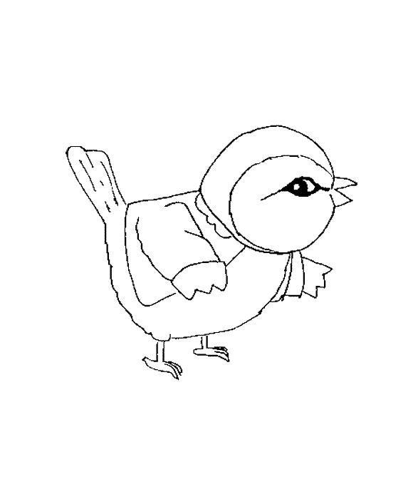 Fisă de colorat cu Animale haioase de colorat p31