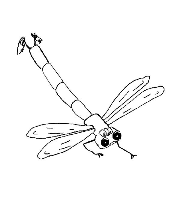 Fisă de colorat cu Animale haioase de colorat p32