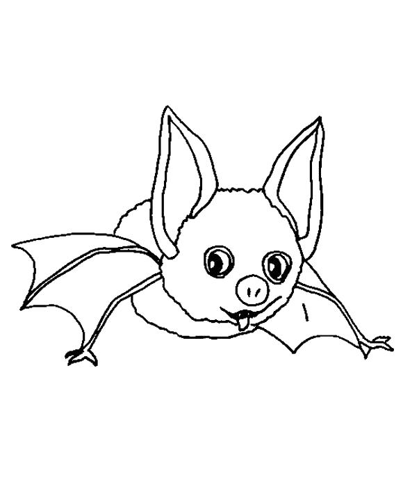 Fisă de colorat cu Animale haioase de colorat p33