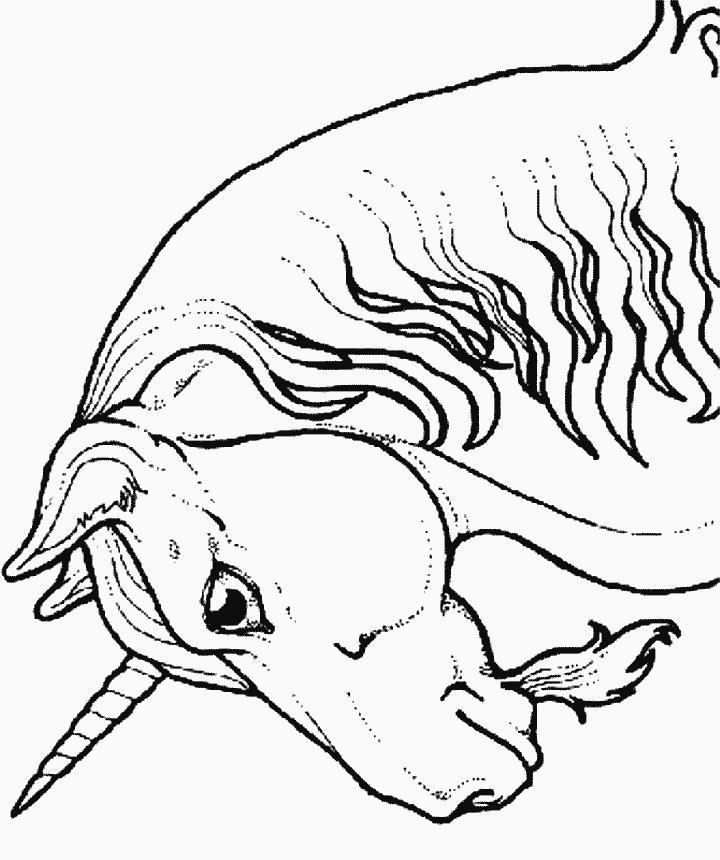 Fisă de colorat cu Animale unicorni de colorat p12