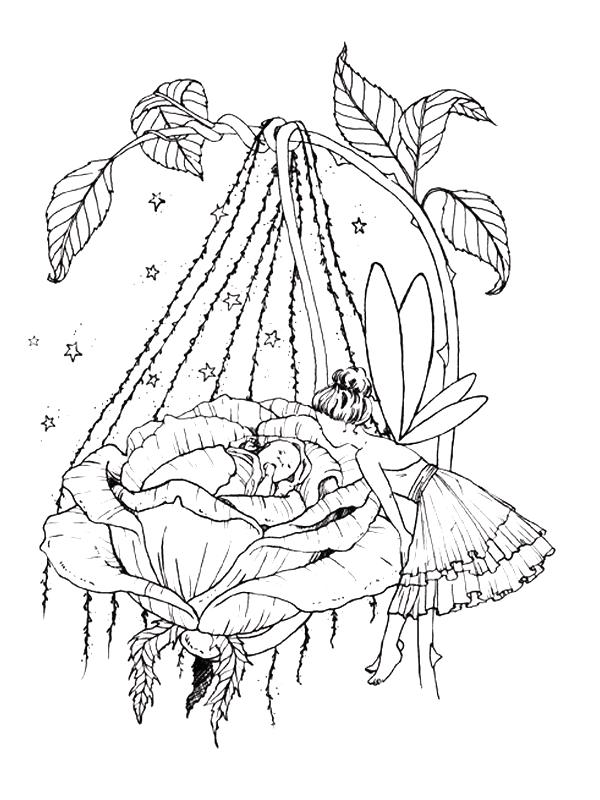 Fisă de colorat cu Bebelusi de colorat p13