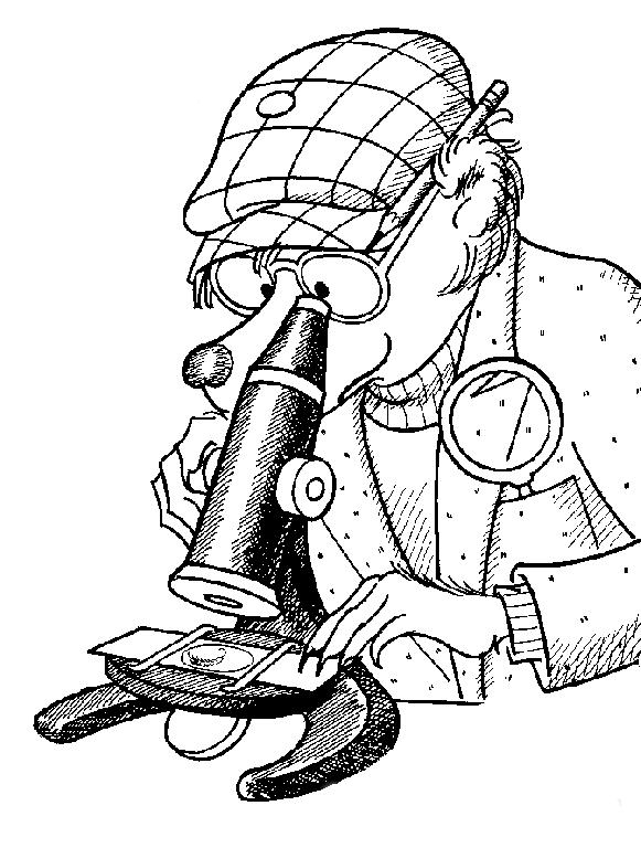 Fisă de colorat cu Berenstain bears de colorat p08