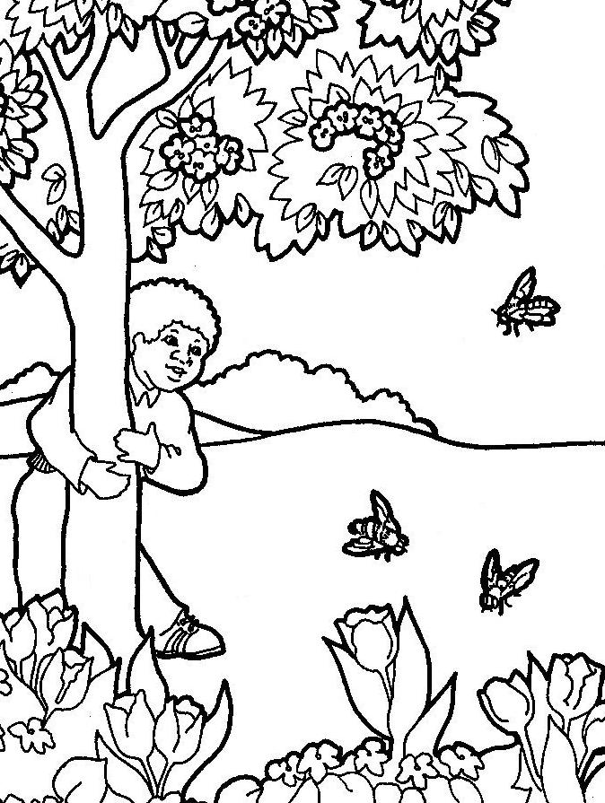 Fisă de colorat cu Copaci de colorat p08