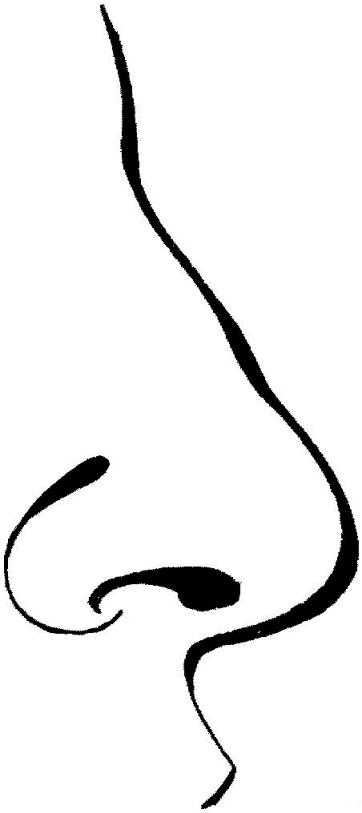 Fisă de colorat cu Corpul uman de colorat p04