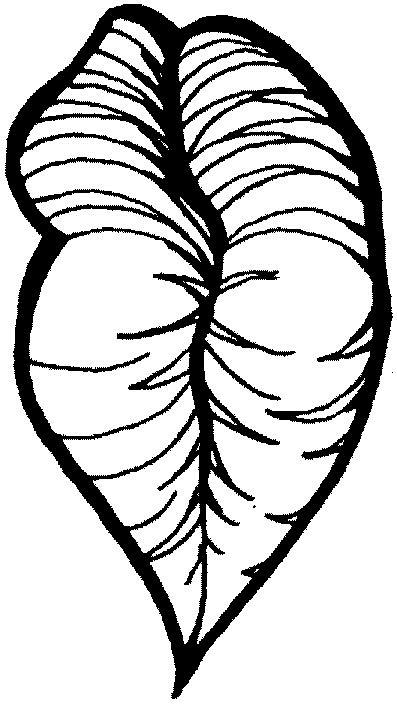 Fisă de colorat cu Corpul uman de colorat p10