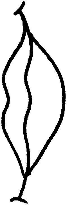 Fisă de colorat cu Corpul uman de colorat p14