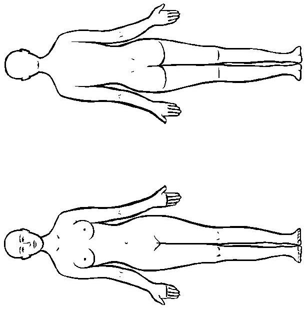 Fisă de colorat cu Corpul uman de colorat p19