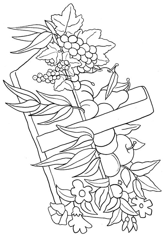 Fisă de colorat cu Cos cu fructe de colorat p12