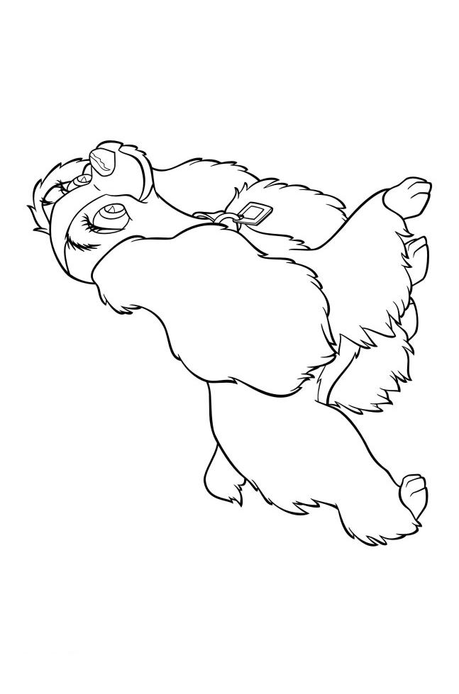 Fisă de colorat cu Doamna si vagabondul de colorat p46