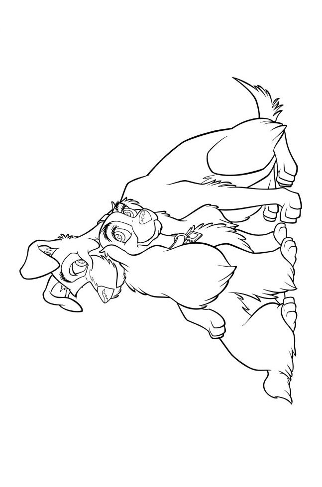 Fisă de colorat cu Doamna si vagabondul de colorat p48