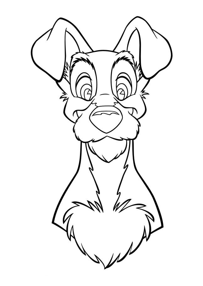 Fisă de colorat cu Doamna si vagabondul de colorat p57