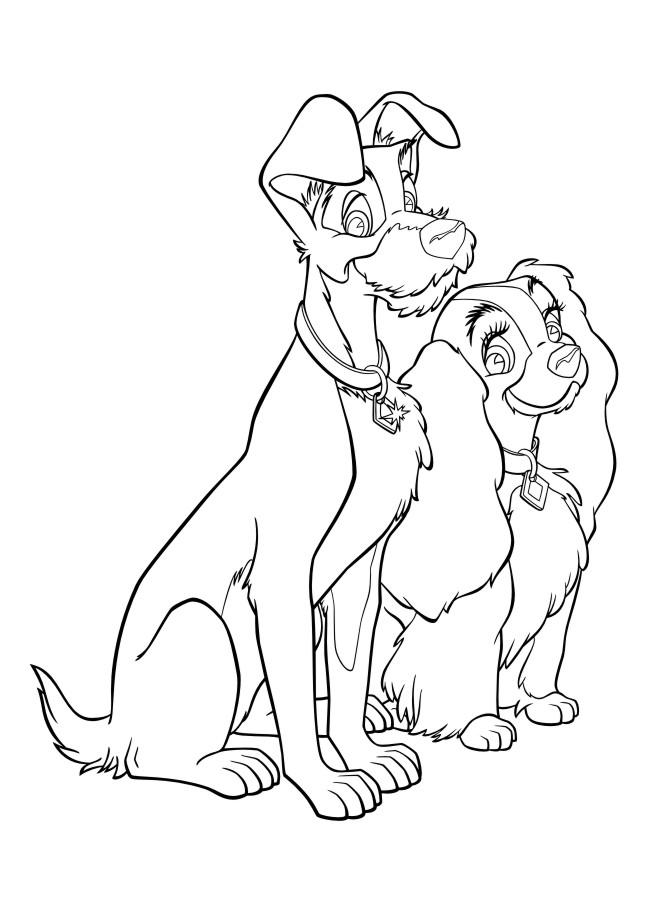 Fisă de colorat cu Doamna si vagabondul de colorat p63