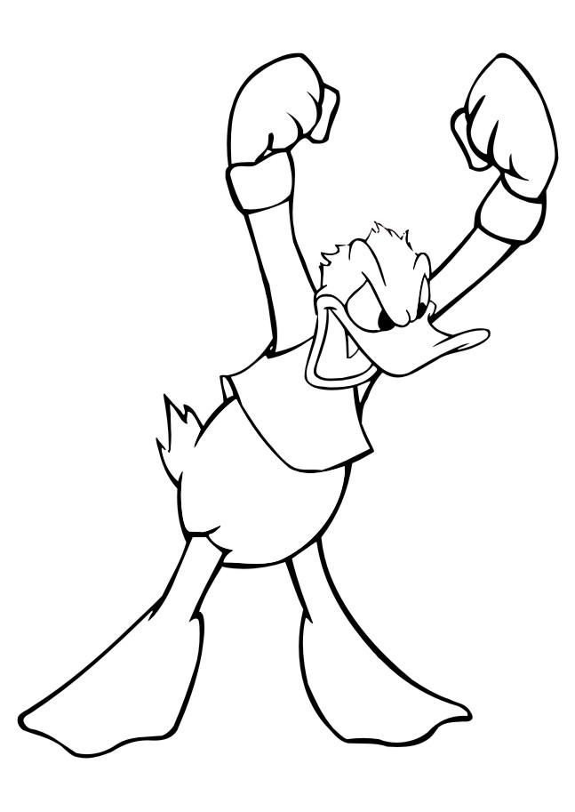 Fisă de colorat cu Donald duck de colorat p53