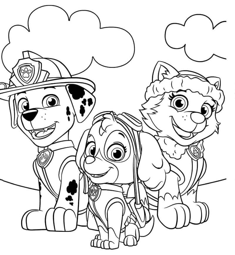 Patrula Cățelușilor de colorat p22