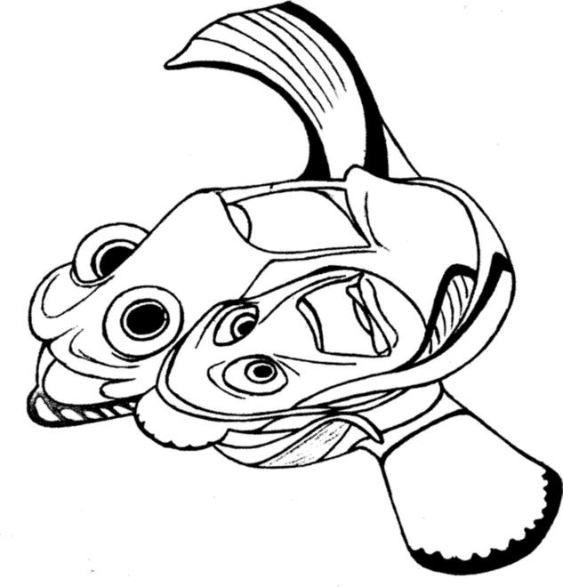 Fisă de colorat cu Finding nemo de colorat p01