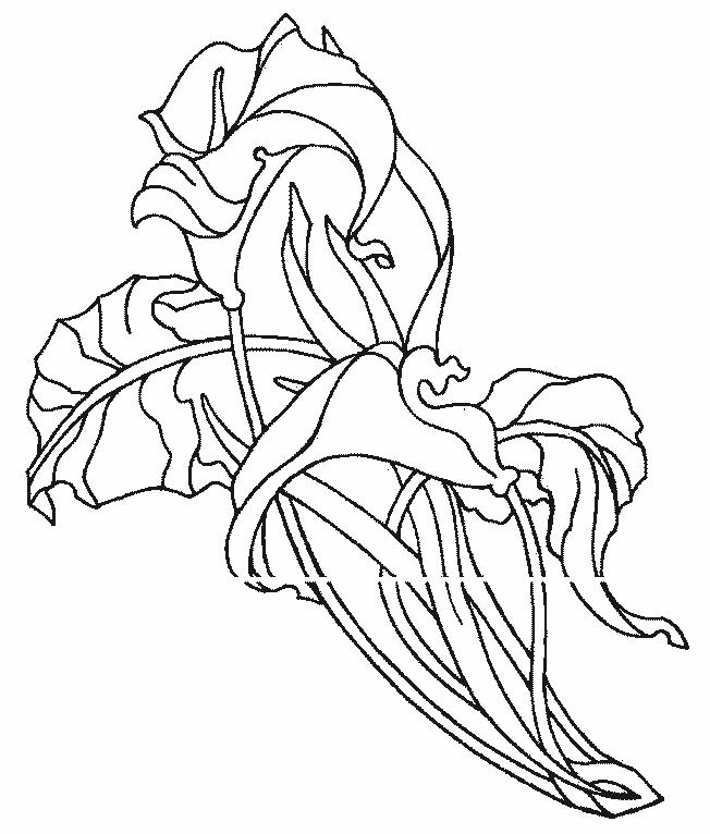 Fisă de colorat cu Flori cale de colorat p06