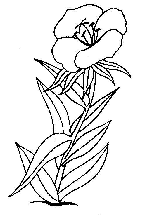 Fisă de colorat cu Flori de colorat p01