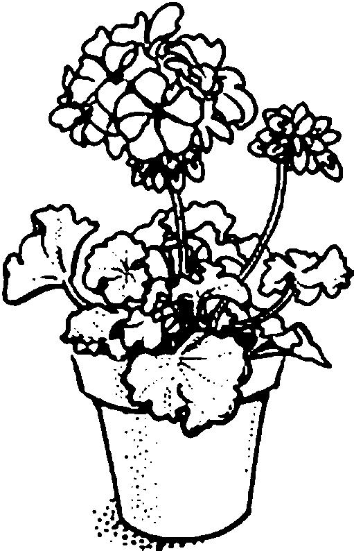 Fisă de colorat cu Flori de colorat p100