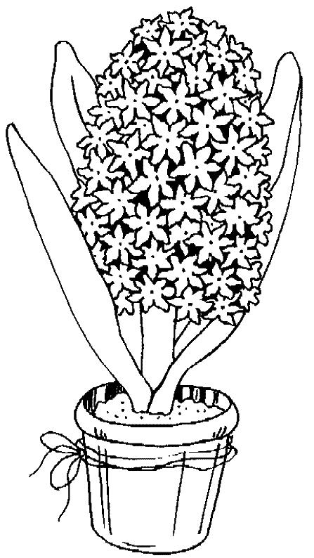 Fisă de colorat cu Flori de colorat p107