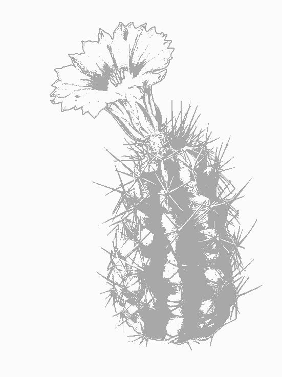 Fisă de colorat cu Flori de colorat p87