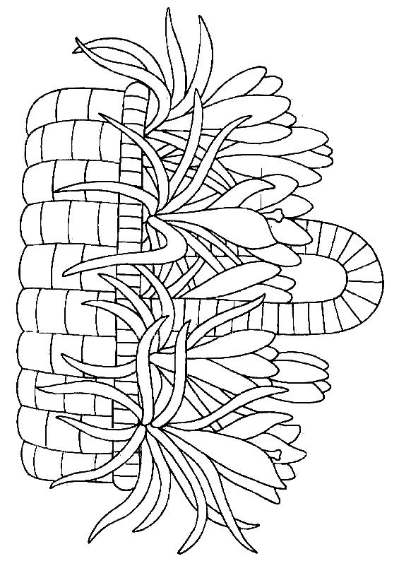 Fisă de colorat cu Flori de colorat p90