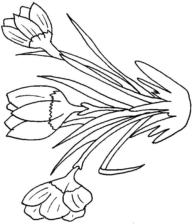 Fisă de colorat cu Flori de colorat p92