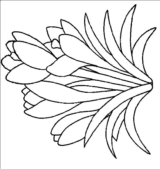 Fisă de colorat cu Flori de colorat p93