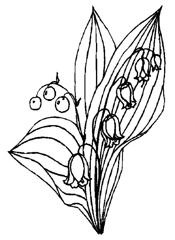 Fisă de colorat cu Flori lacramioare de colorat p20