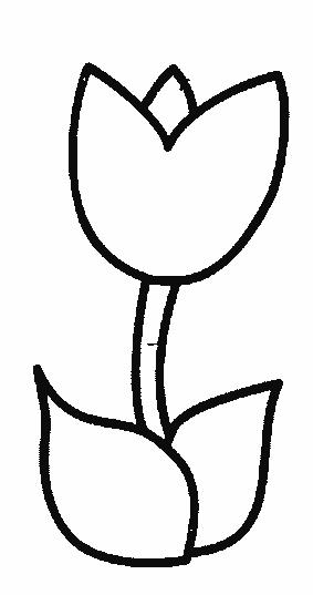 Fisă de colorat cu Flori lalele de colorat p10