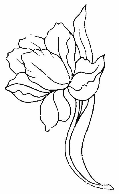 Fisă de colorat cu Flori lalele de colorat p18