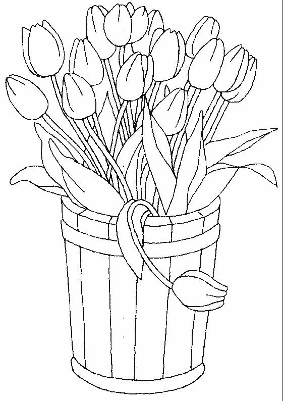 Fisă de colorat cu Flori lalele de colorat p25